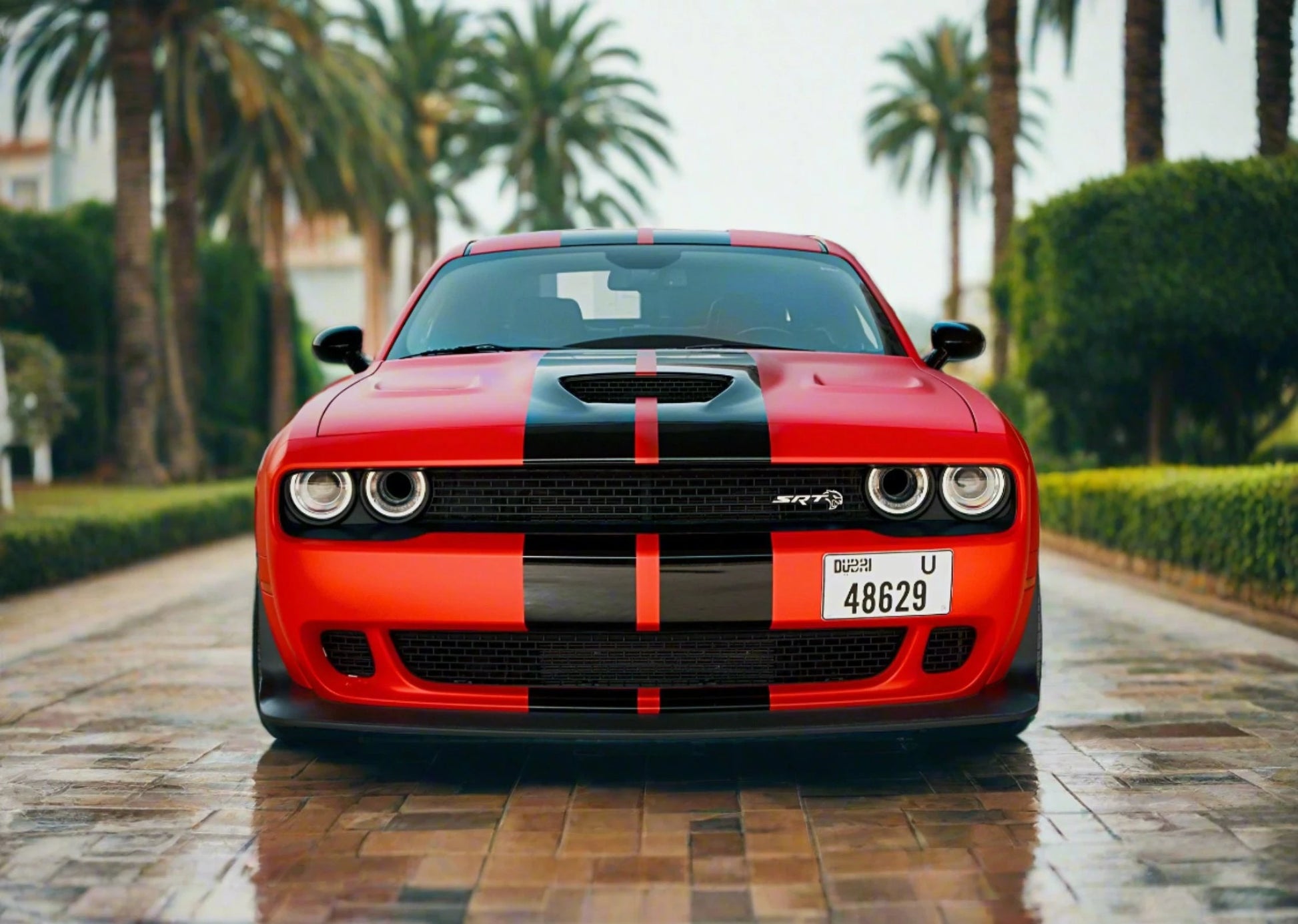 Rent Dodge Hellcat SRT 2019 or similar Golden Key Rent Car LLC